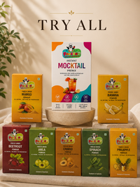 Fruzzoo Try All Pack — All 11 Flavours